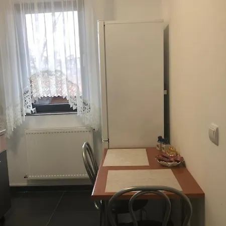 David&rebeca * بوخارست